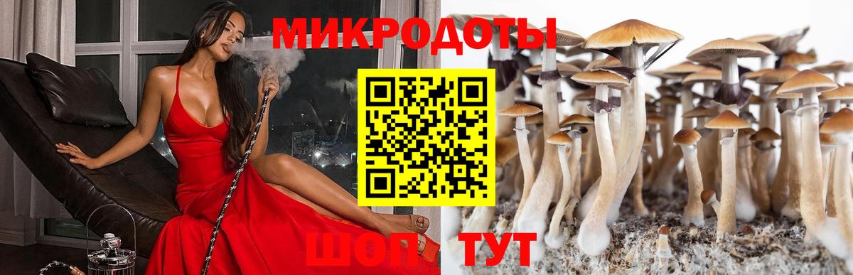 Галлюциногенные грибы MAGIC MUSHROOMS Ростов Великий